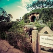 Lord of the Rings musical in making